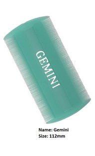 Gemini1.jpg