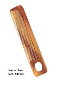 Polo2.jpg
